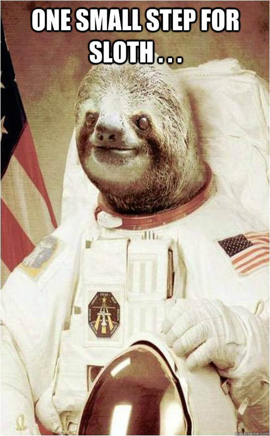 One Small Step For Sloth . . .   