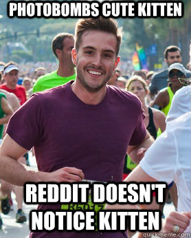 photobombs cute kitten reddit doesn't notice kitten  Ridiculously photogenic guy
