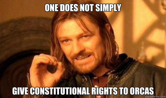 One Does Not Simply give constitutional rights to orcas  Boromir