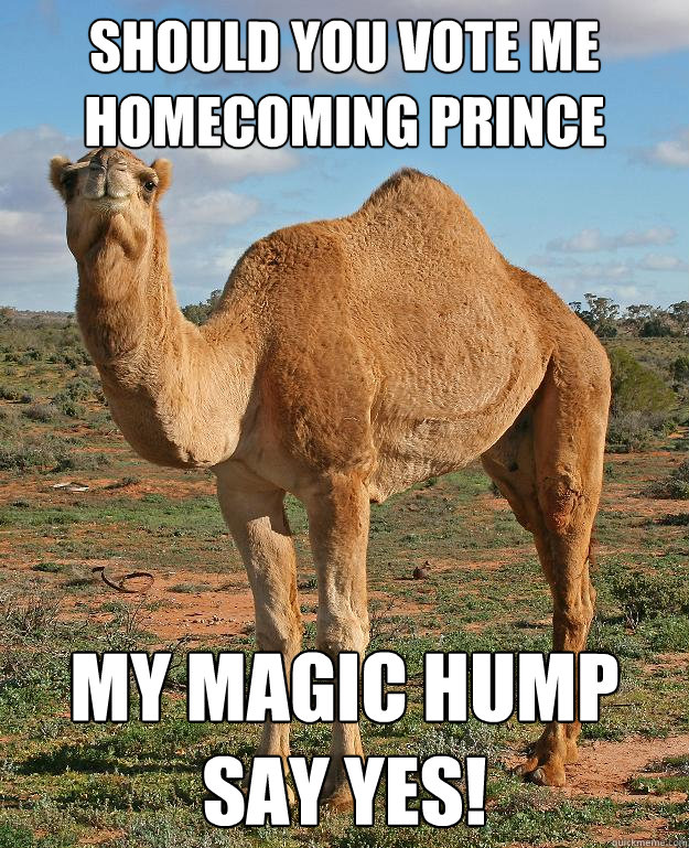 Should you vote me Homecoming prince My magic hump say yes!  