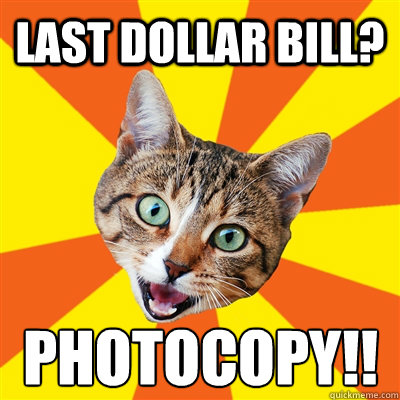 Last Dollar Bill? PHOTOCOPY!! - Last Dollar Bill? PHOTOCOPY!!  Bad Advice Cat