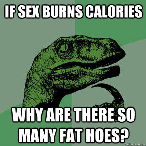 If sex burns calories WHY ARE THERE SO MANY FAT HOES?  Philosoraptor