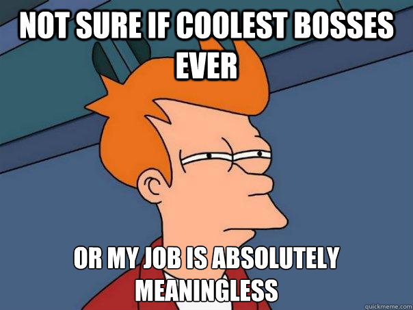 Not sure if coolest bosses ever Or my job is absolutely meaningless - Not sure if coolest bosses ever Or my job is absolutely meaningless  Futurama Fry