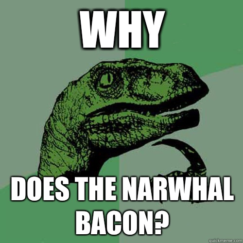 Why Does the narwhal bacon?  Philosoraptor