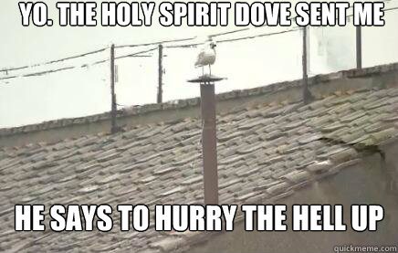 Yo. The holy spirit dove sent me He says to hurry the hell up  Sistine Seagull