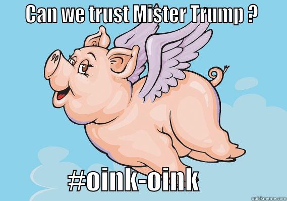    CAN WE TRUST MISTER TRUMP ?                  #OINK-OINK                 Misc