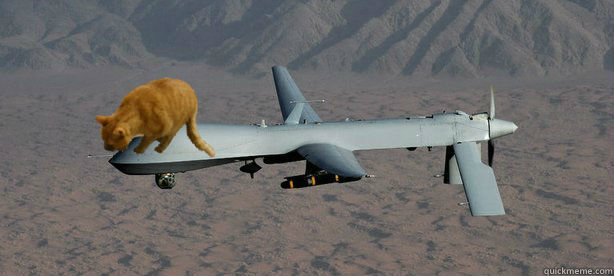   -    Drone Cat