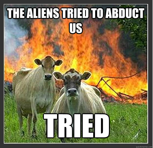 The aliens tried to abduct us tried   Evil cows