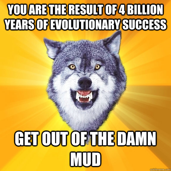 you are the result of 4 billion years of evolutionary success Get out of the damn mud  Courage Wolf