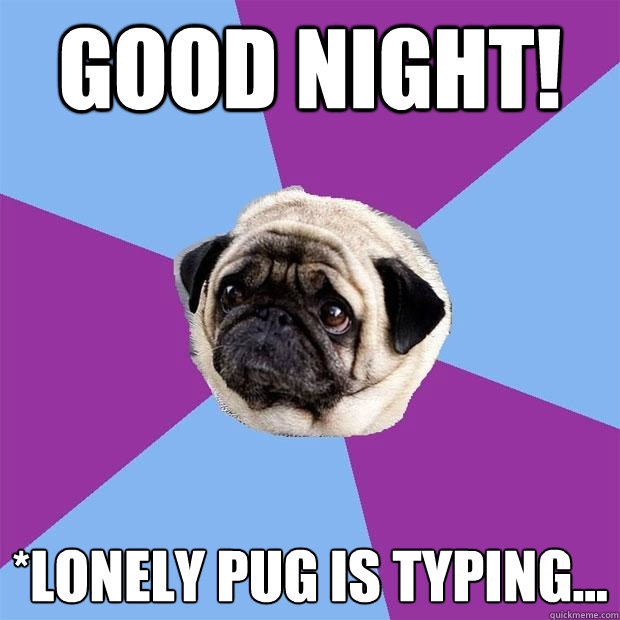 Good Night! *Lonely Pug is typing... - Good Night! *Lonely Pug is typing...  Lonely Pug