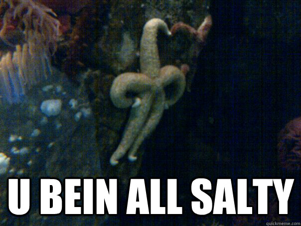  U BEIN ALL SALTY -  U BEIN ALL SALTY  Sassy Starfish