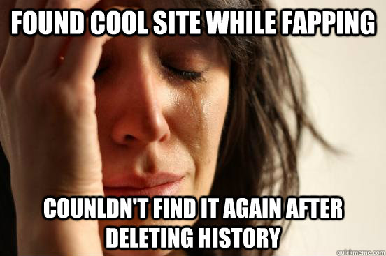 Found cool site while fapping Counldn't find it again after deleting history  First World Problems
