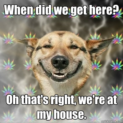 When did we get here? Oh that's right, we're at my house.  Stoner Dog