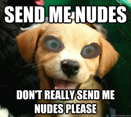 send me nudes don't really send me nudes please  Pervy Meme