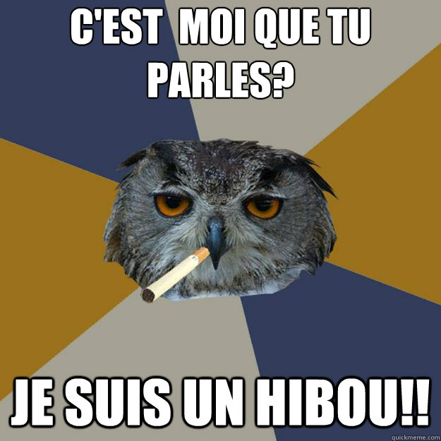 C'est à moi que tu parles? Je suis un hibou!!  Art Student Owl