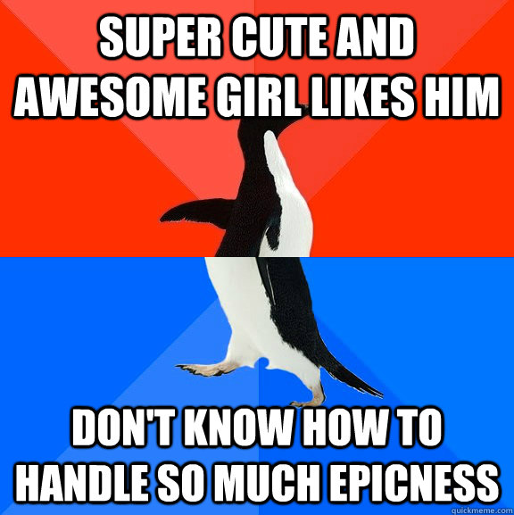 Super cute and awesome girl likes him don't know how to handle so much epicness  Socially Awesome Awkward Penguin
