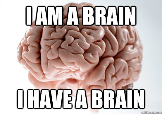 I am a brain I have a brain  Scumbag brain on life