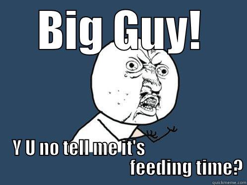 BIG GUY! Y U NO TELL ME IT'S                                                               FEEDING TIME? Y U No