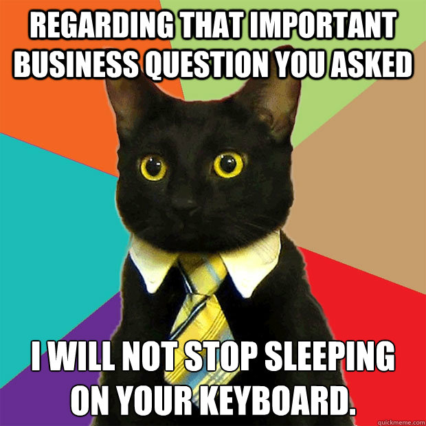 regarding that important business question you asked I will not stop sleeping on your keyboard.  Business Cat