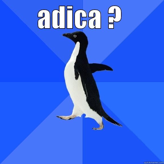 ADICA ?  Socially Awkward Penguin