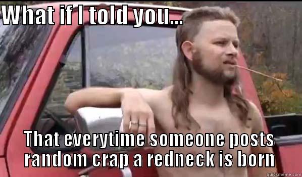 WHAT IF I TOLD YOU...                           THAT EVERYTIME SOMEONE POSTS RANDOM CRAP A REDNECK IS BORN Almost Politically Correct Redneck
