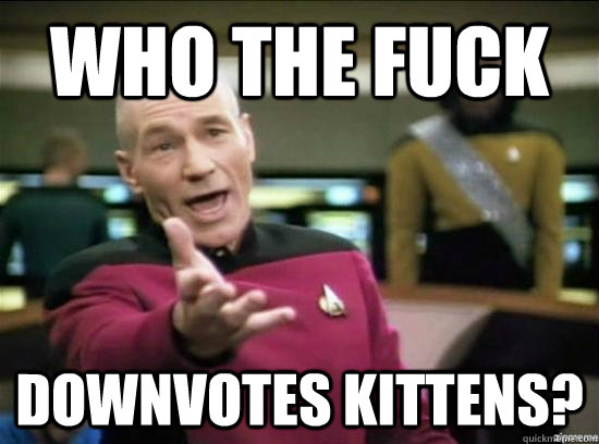 Who the fuck downvotes kittens? - Who the fuck downvotes kittens?  Misc