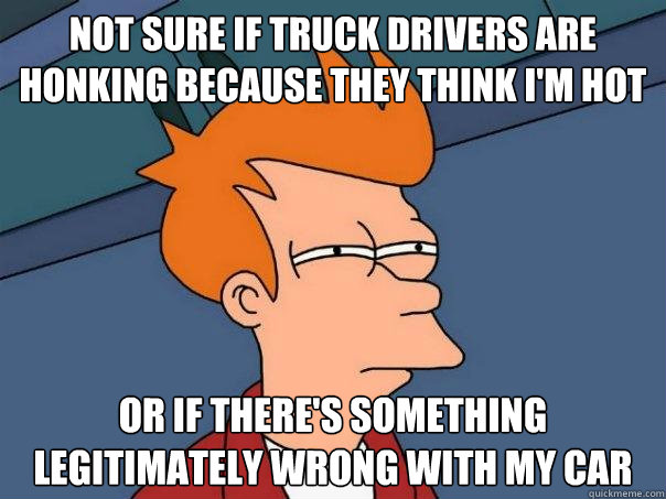 Not sure if truck drivers are honking because they think I'm hot Or if there's something legitimately wrong with my car  Futurama Fry