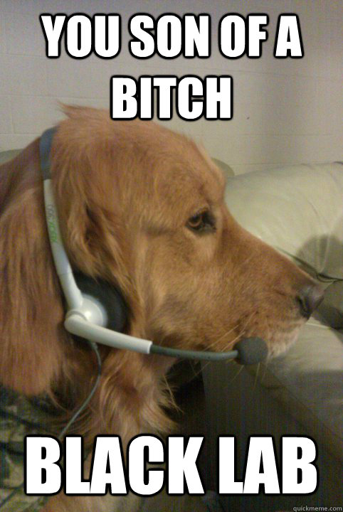 You son of a bitch Black lab  Xbox Live Dog