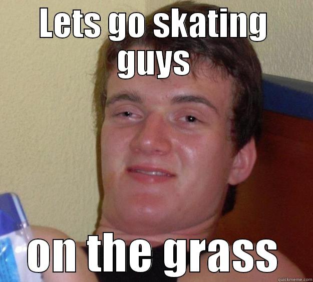 LETS GO SKATING GUYS ON THE GRASS 10 Guy