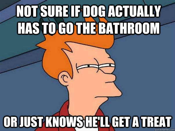 Not sure if dog actually has to go the bathroom Or just knows he'll get a treat  Futurama Fry