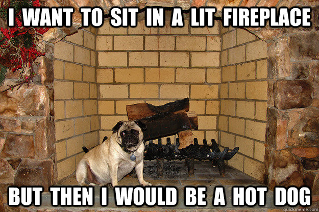 I  want  to  sit  in  a  lit  fireplace but  then  i  would  be  a  hot  dog  Sad Dog