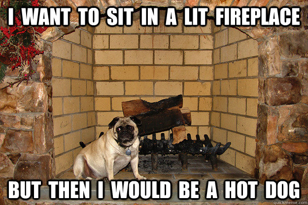 I  want  to  sit  in  a  lit  fireplace but  then  i  would  be  a  hot  dog  Sad Dog