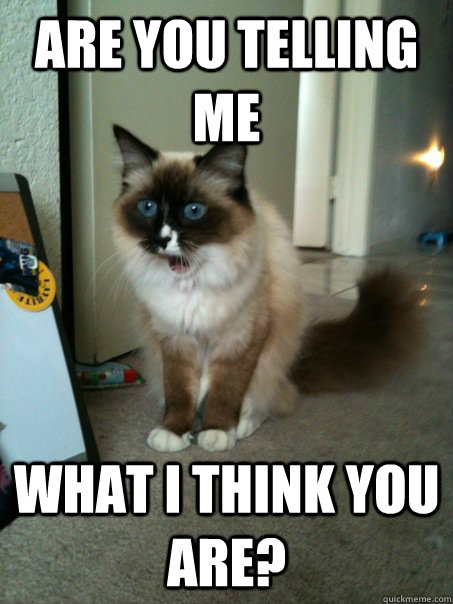are you telling me What i think you are?  Surprised Cat