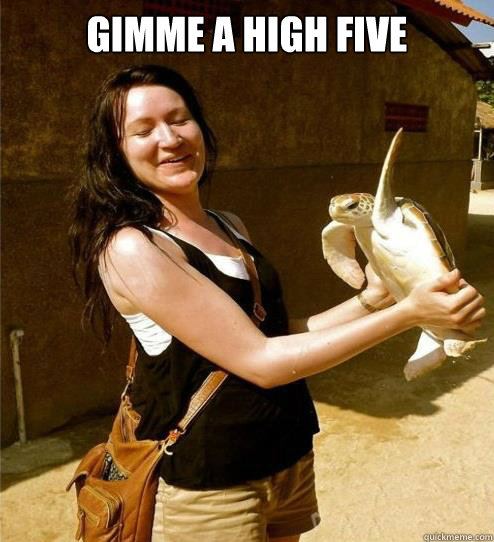 gimme a high five   Turtle Slap