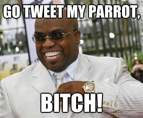 Go tweet my parrot, BITCH!  Scumbag Cee-Lo Green