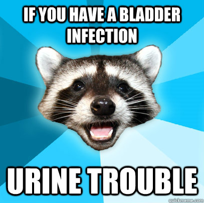 IF YOU HAVE A BLADDER INFECTION URINE TROUBLE  Lame Pun Coon