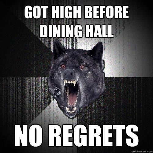 got high before dining hall no regrets  Insanity Wolf