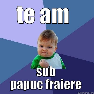 TE AM  SUB PAPUC FRAIERE Success Kid
