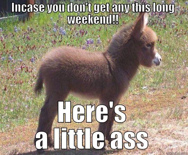 INCASE YOU DON'T GET ANY THIS LONG WEEKEND!! HERE'S A LITTLE ASS in case you dont get any tonight