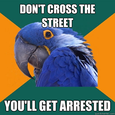 Don't cross the street You'll get arrested   Paranoid Parrot