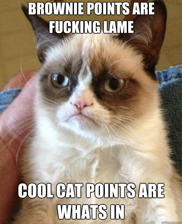 Brownie points are fucking lame cool cat points are whats in Caption 3 goes here - Brownie points are fucking lame cool cat points are whats in Caption 3 goes here  Misc