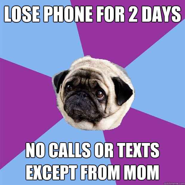 Lose phone for 2 days No calls or texts except from mom  Lonely Pug