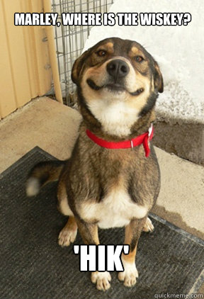 Marley, where is the wiskey? 'Hik'  Good Dog Greg