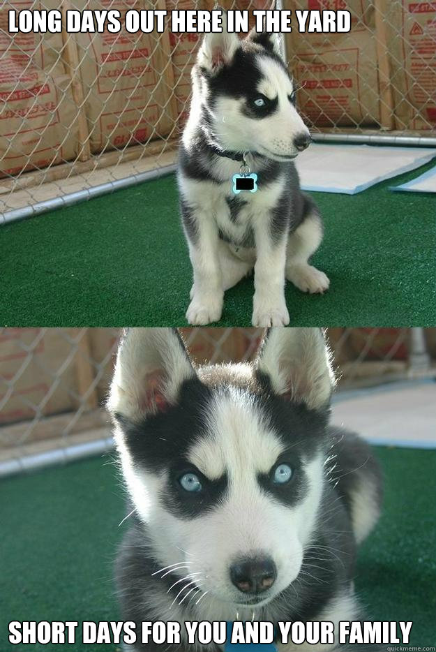 long days out here in the yard short days for you and your family  Insanity puppy