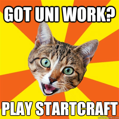Got uni work? Play startcraft - Got uni work? Play startcraft  Bad Advice Cat