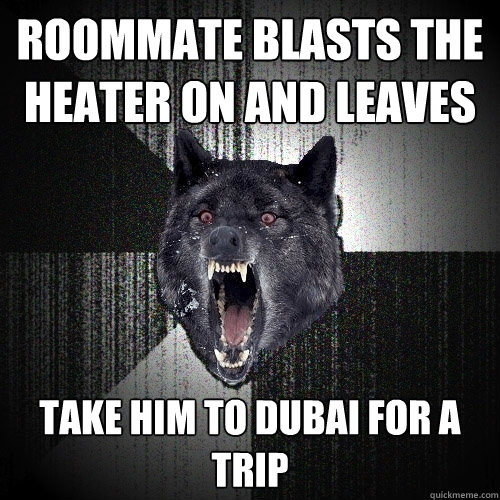 roommate blasts the heater on and leaves  take him to dubai for a trip   Insanity Wolf