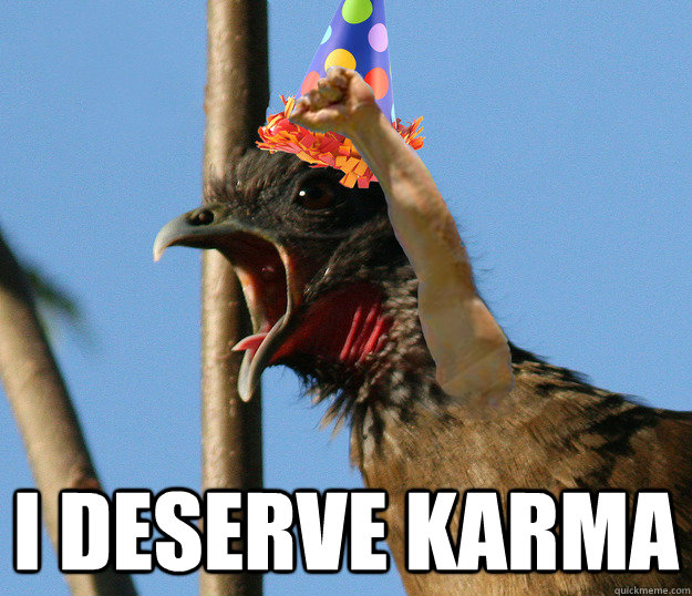  I DESERVE KARMA -  I DESERVE KARMA  Raging Rufous-vented Chachalaca