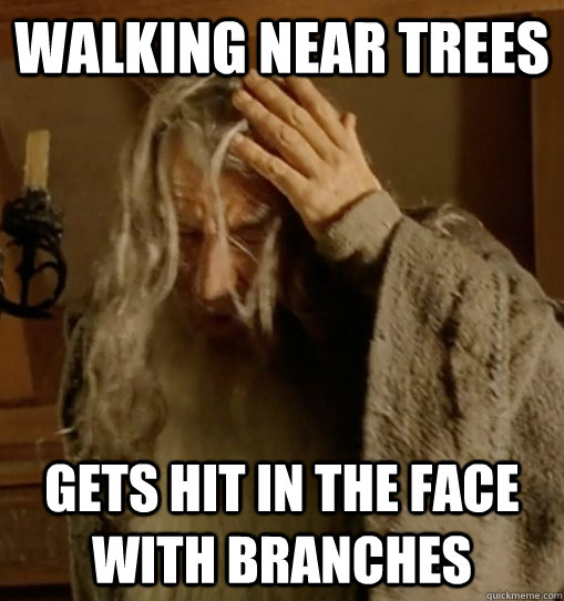 Walking near trees Gets hit in the face with branches  Tall People Problems