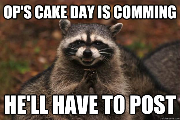 Op's cake day is comming he'll have to post  Evil Plotting Raccoon