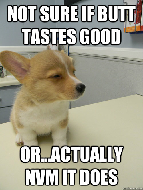 NOT SURE IF BUTT TASTES GOOD OR...ACTUALLY NVM IT DOES  Not Sure Dog